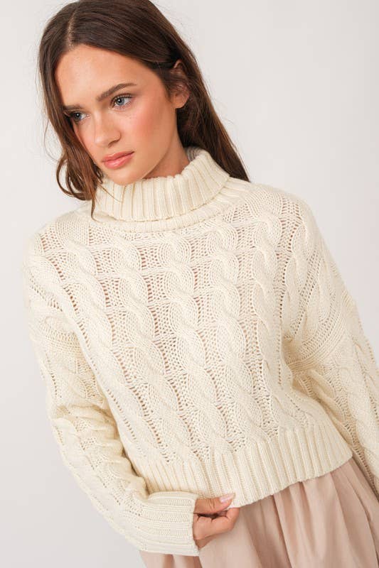 Isabella Turtle Neck Cropped Cable Knit Sweater