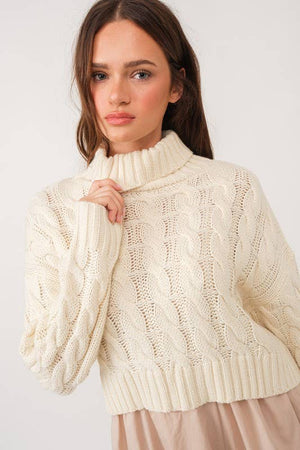 Isabella Turtle Neck Cropped Cable Knit Sweater